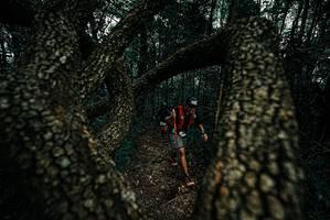 BIB: 
                            <button type="button" onclick="openModal(25691031)" class="btn btn-primary btn-sm float-right btn-popup" data-toggle="modal" data-target=".modal-high-quality">
                        <i class="fas fa-shopping-cart"></i> Add to Cart
                    </button>
                                            <button type="button" onclick="isThisMe(25691031, true)" class="btn btn-success btn-sm float-right btn-popup btn-isme hidden" data-toggle="tooltip" data-placement="bottom" title="นี่คือรูปของคุณใช่ไหม คลิกที่นี่เพื่อเอาเข้าอัลบั้ม">
                        <i class="fas fa-plus"></i> Add to album
                    </button>
                    <button type="button" onclick="isThisMe(25691031, false)" class="btn btn-warning btn-sm float-right btn-popup btn-isnotme hidden">
                        <i class="fas fa-ban"></i> Remove from album
                    </button>